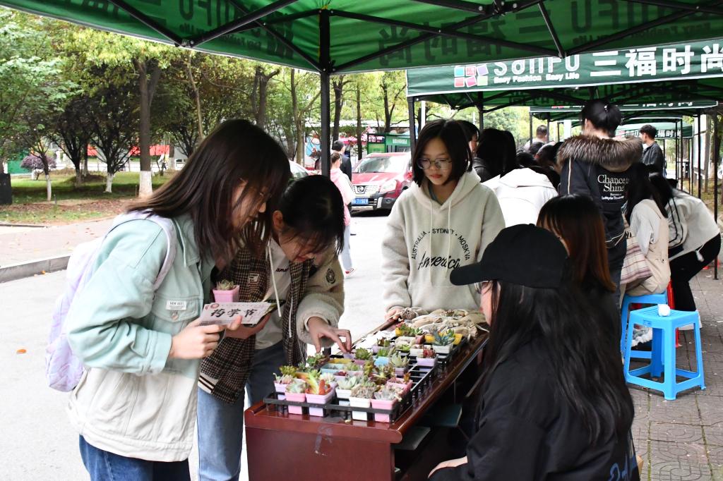 “春风十里 ”品“药香”趣味游戏活动